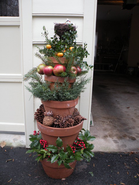 winter garden container with evergreens