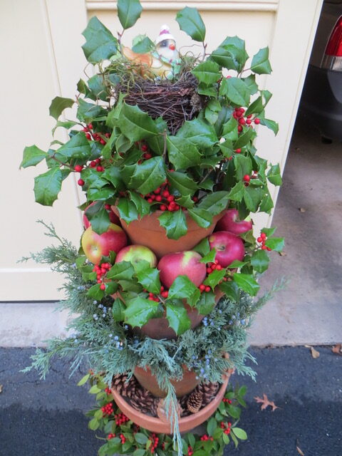 winter garden container with holly