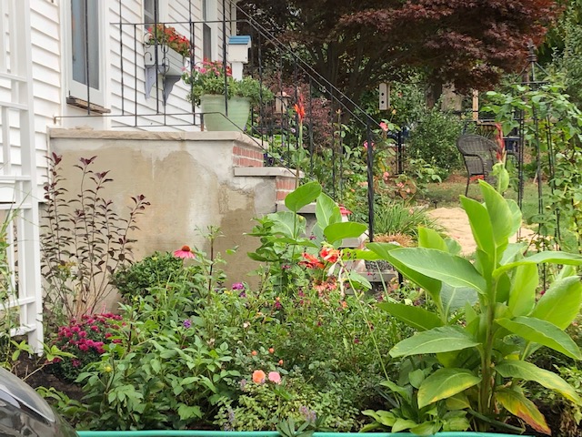 garden near the front steps of a home