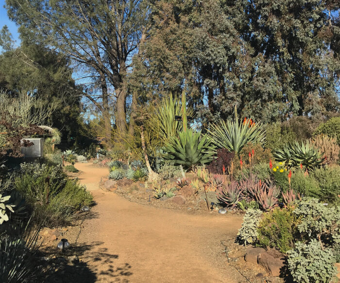 Ruth Bancroft Gardens