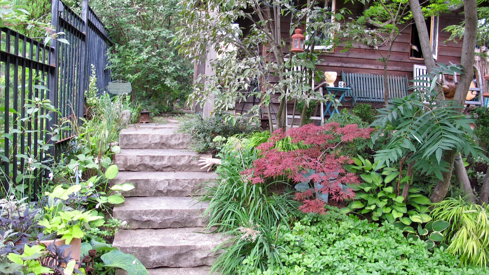 garden full of diverse foliage