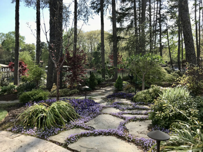 garden path filled with purple flowers