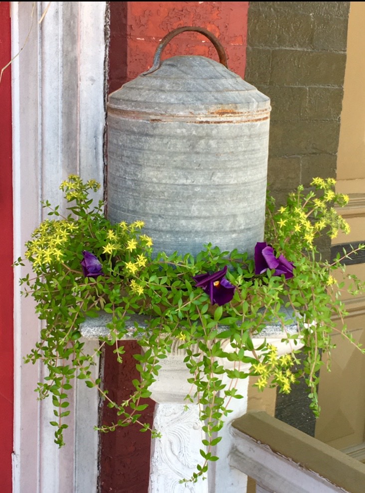 chicken feeder used as a flower planter