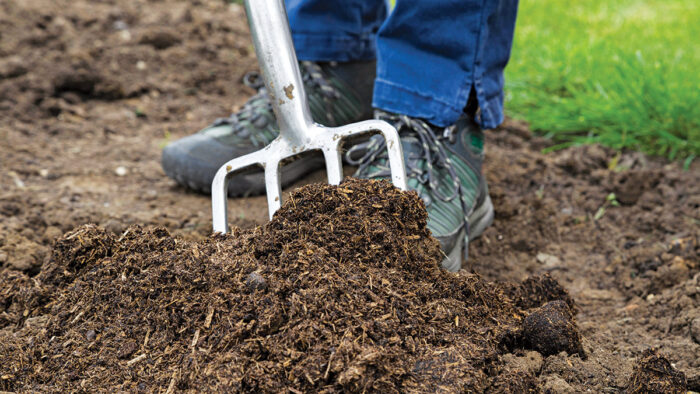 improving dry garden soil