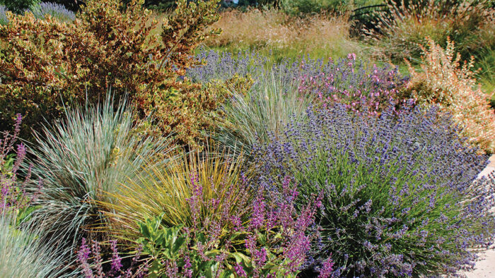 Expert Design Advice: Color Can Make or Break Your Garden - FineGardening