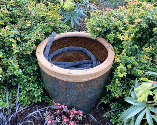 garden hose in a pot