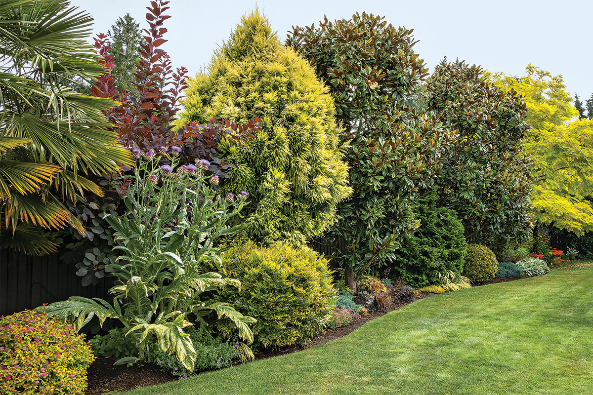 A Long-Lasting and Colorful Front Garden