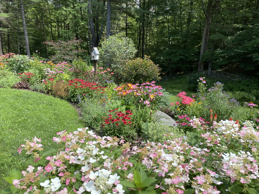 Long full sun garden bed filled with flowers