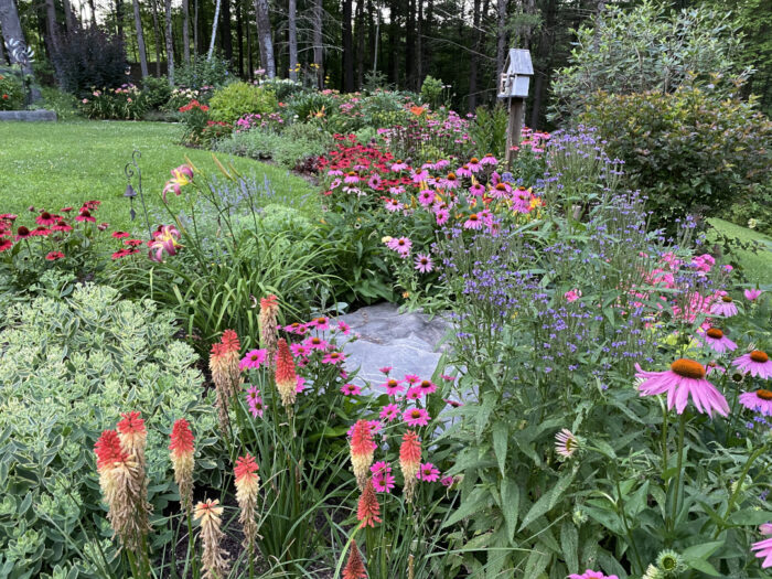 flower-filled garden