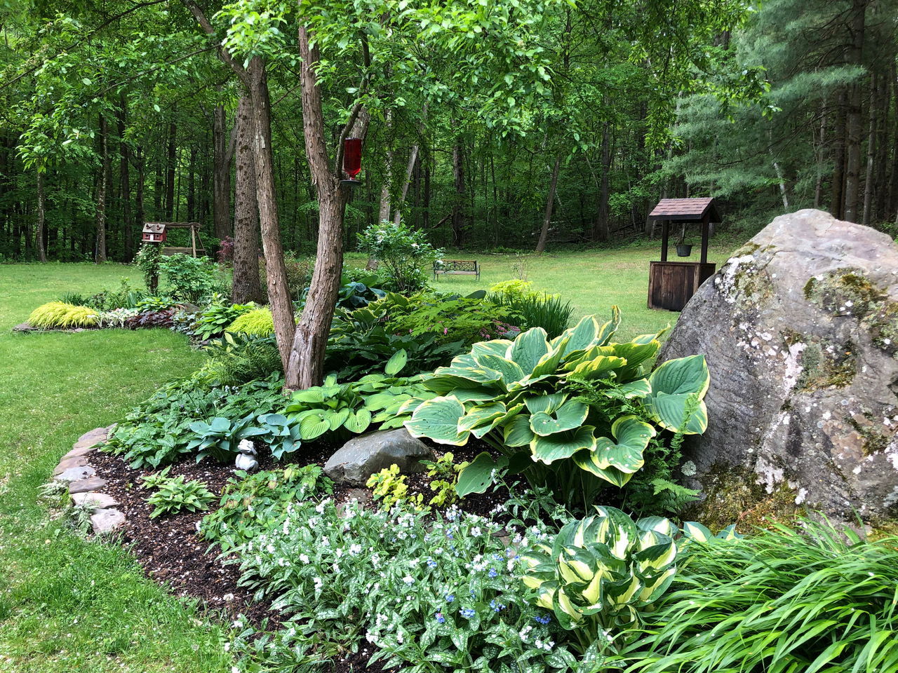 a large rock set in a shade garden