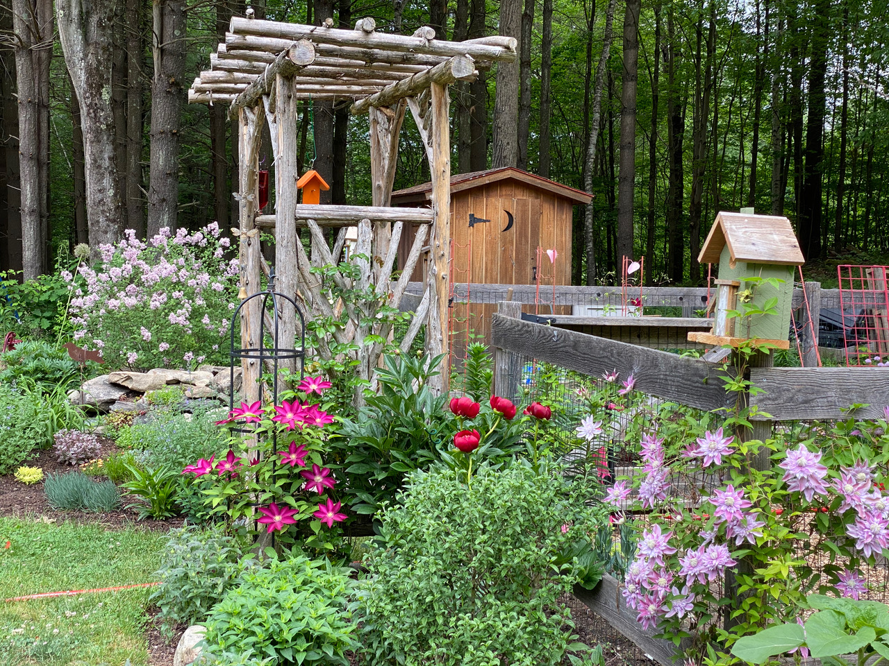 rustic cedar arbor in a garden