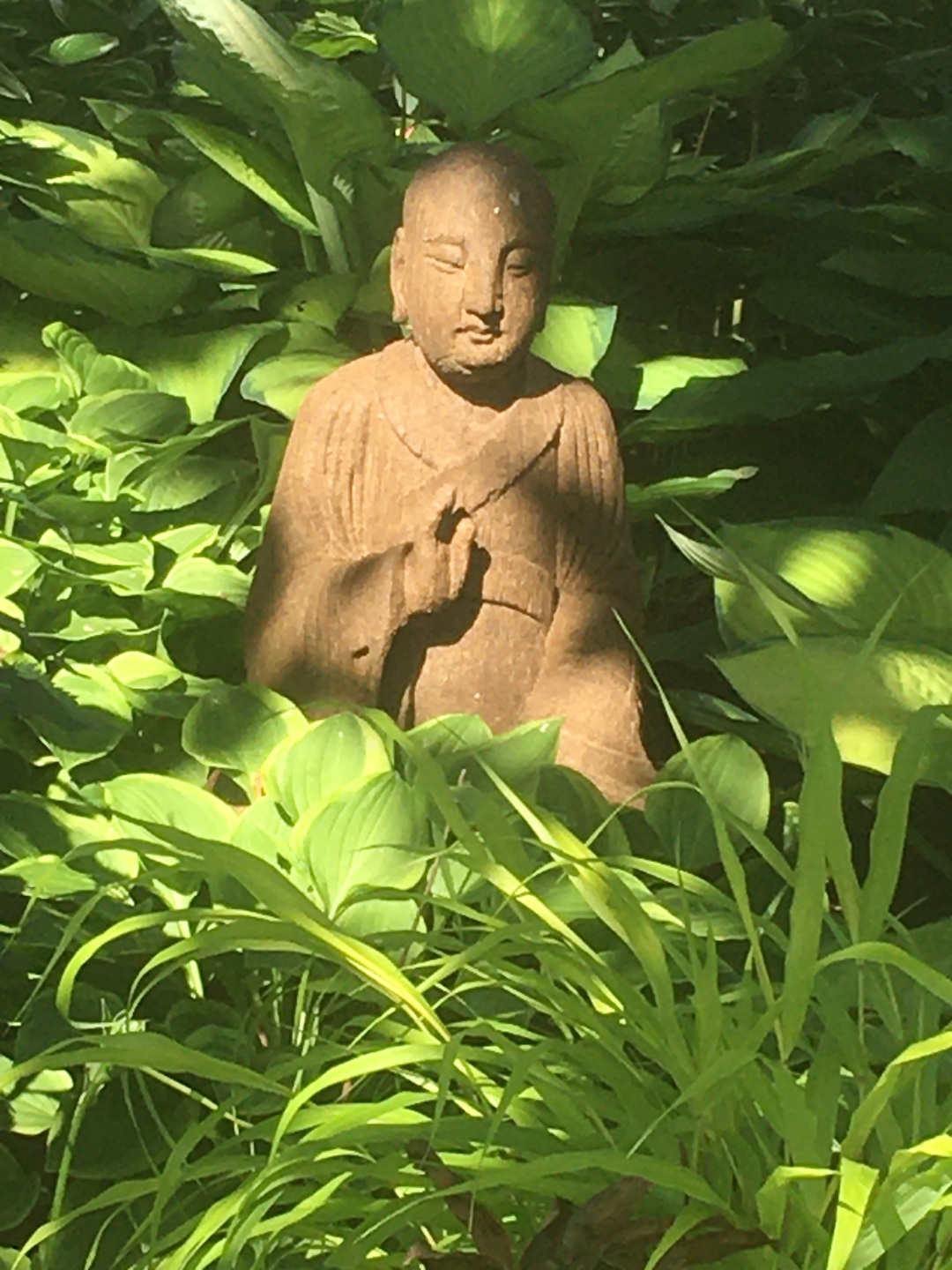 Tibetan monk statue surrounded by hostas