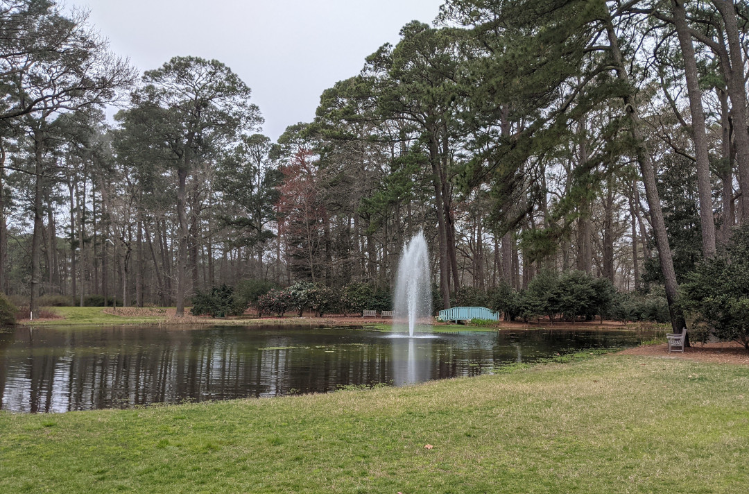 pond at Norfolk Botanical Gardens