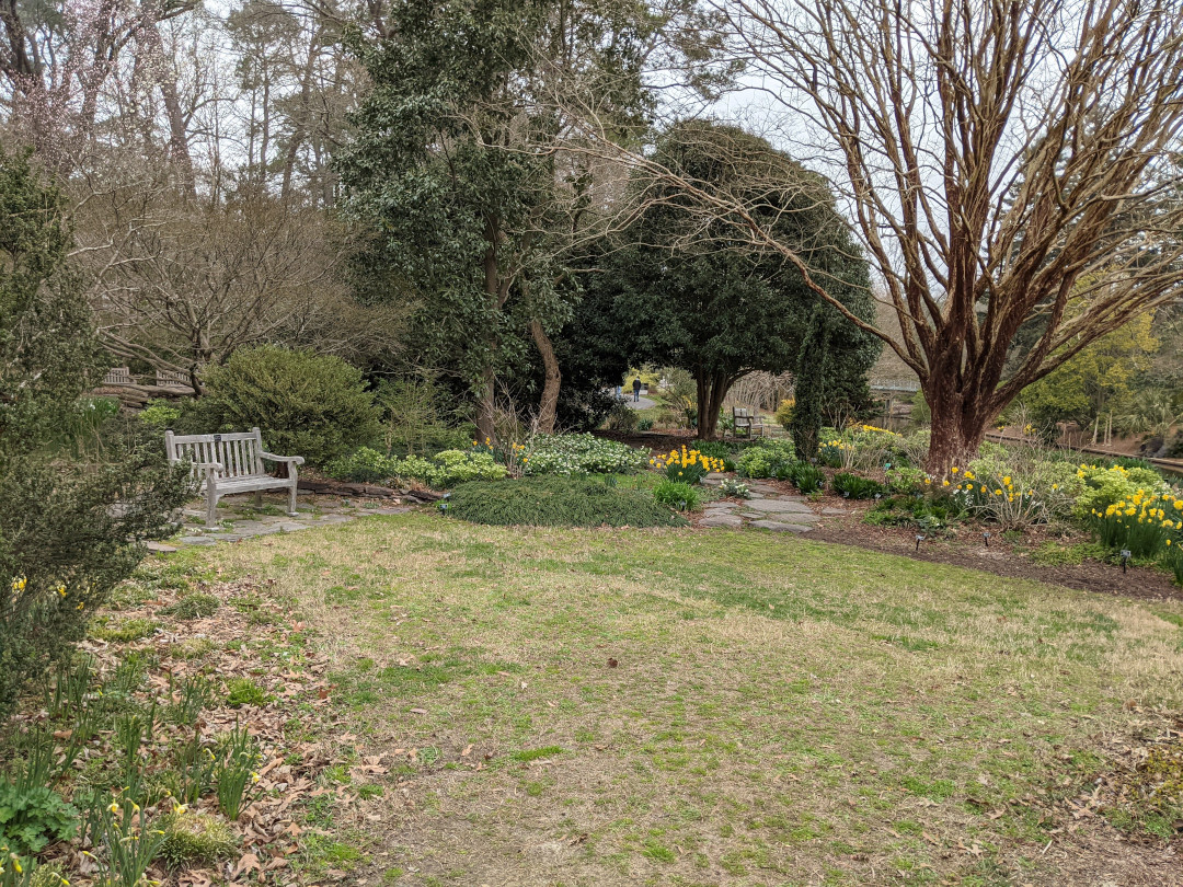 A bench in an early spring garden garden 