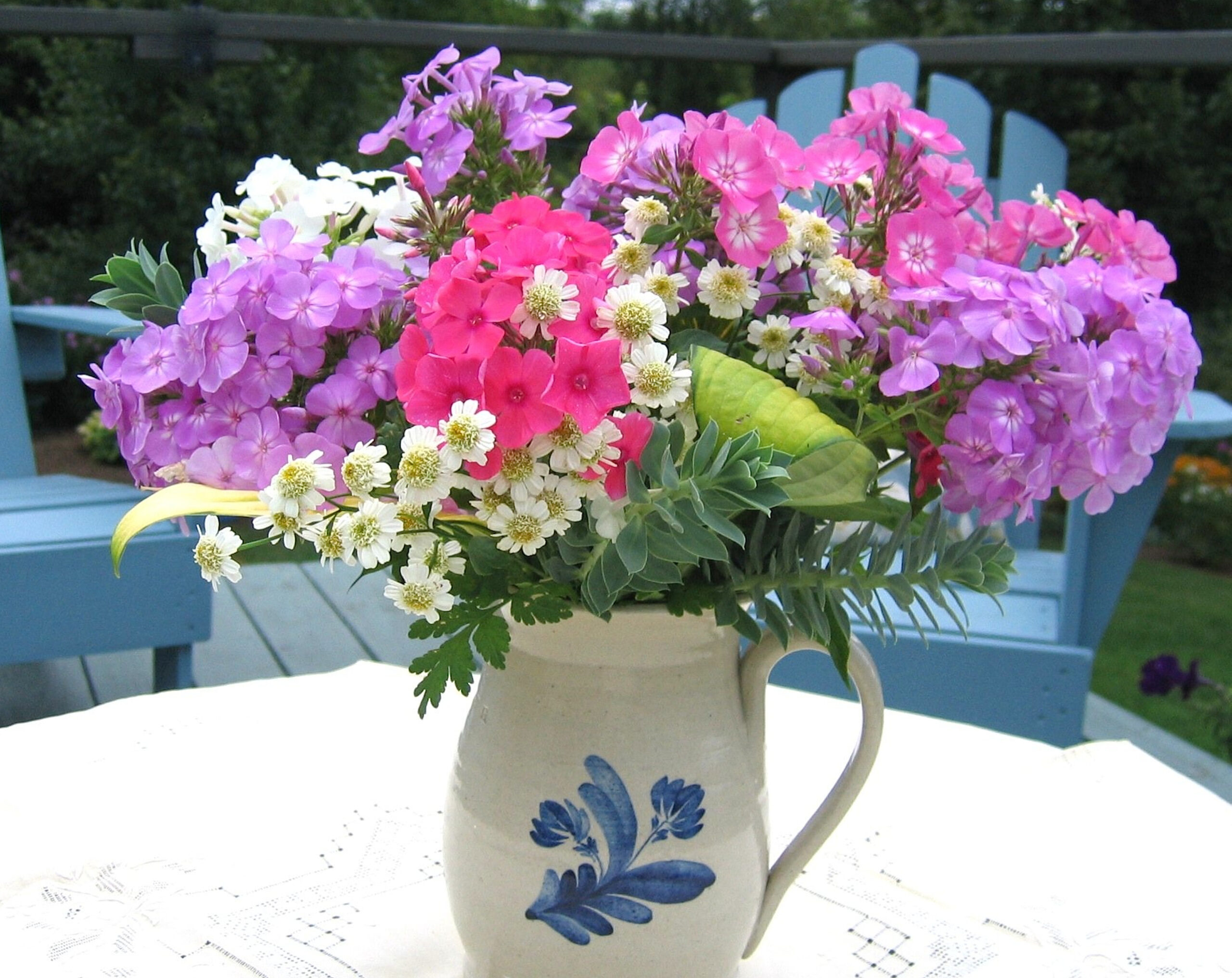 Volcano phlox and feverfew