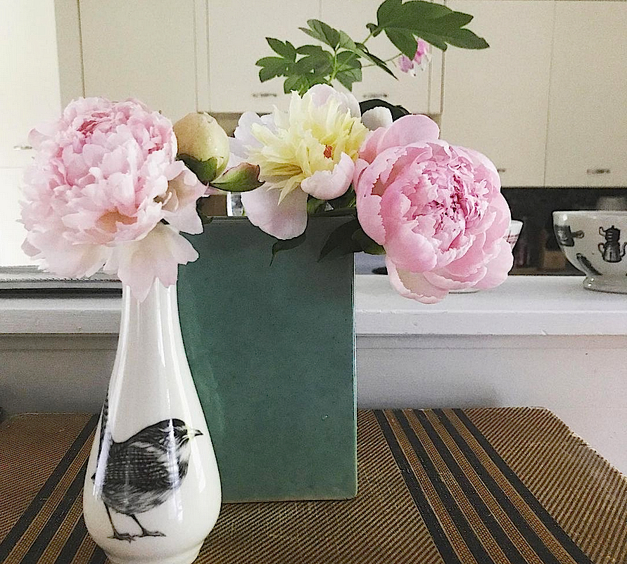 Peonies in vases