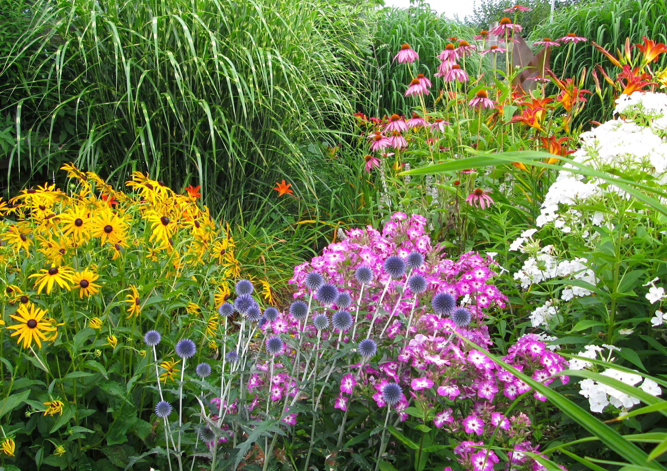 Cut Flower Gardens