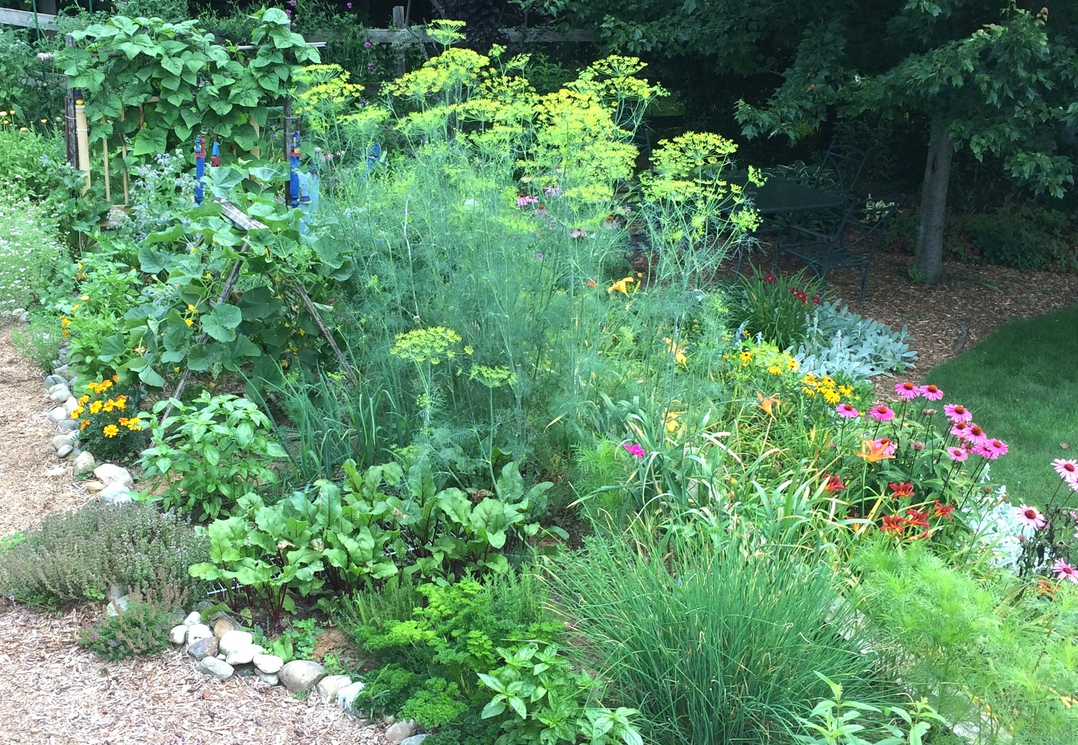 Veggies and Flowers