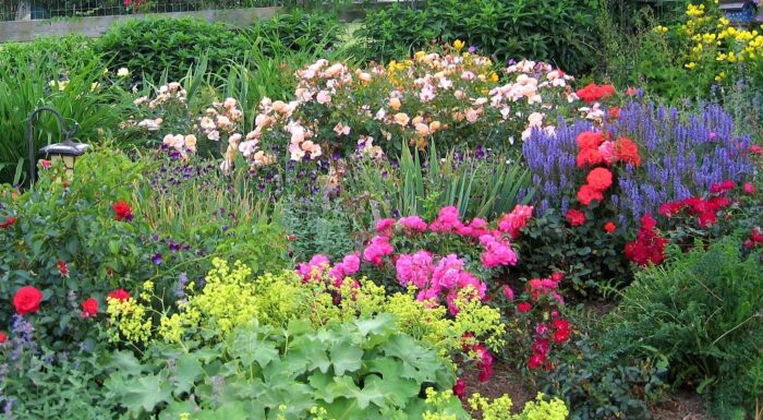 Image of Cutting garden flower