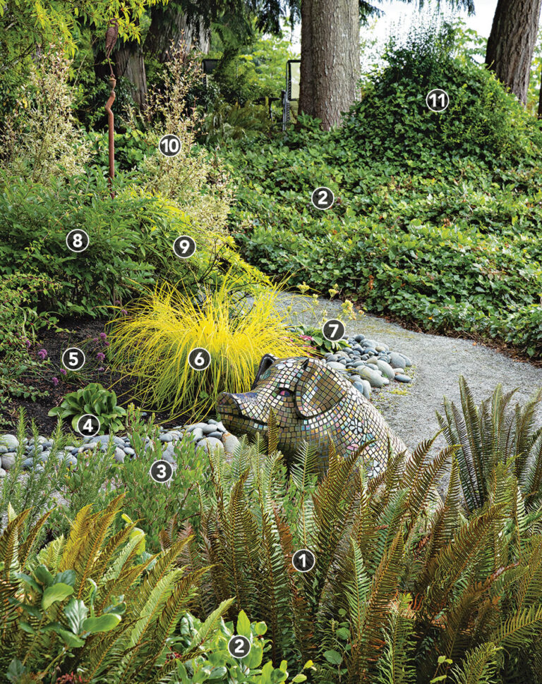 A Deer-Proof Garden Design for Dry Shade – Plant IDs - Fine Gardening