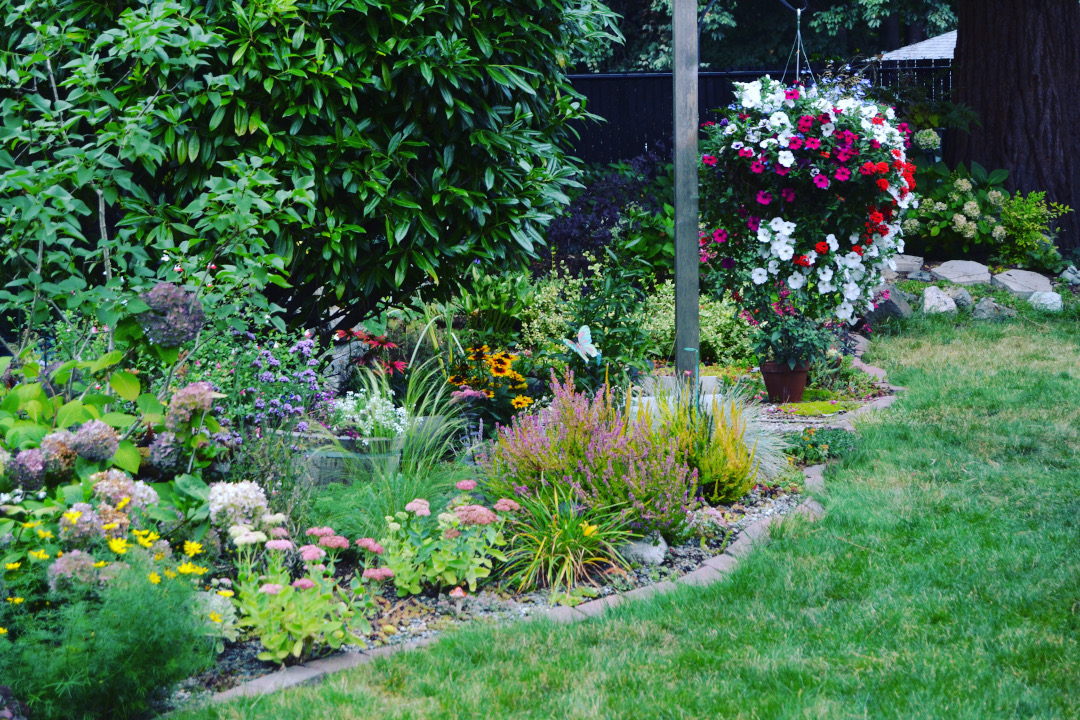 backyard garden bed full of flowers