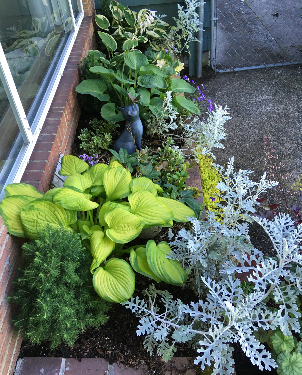 Front window box with hostas