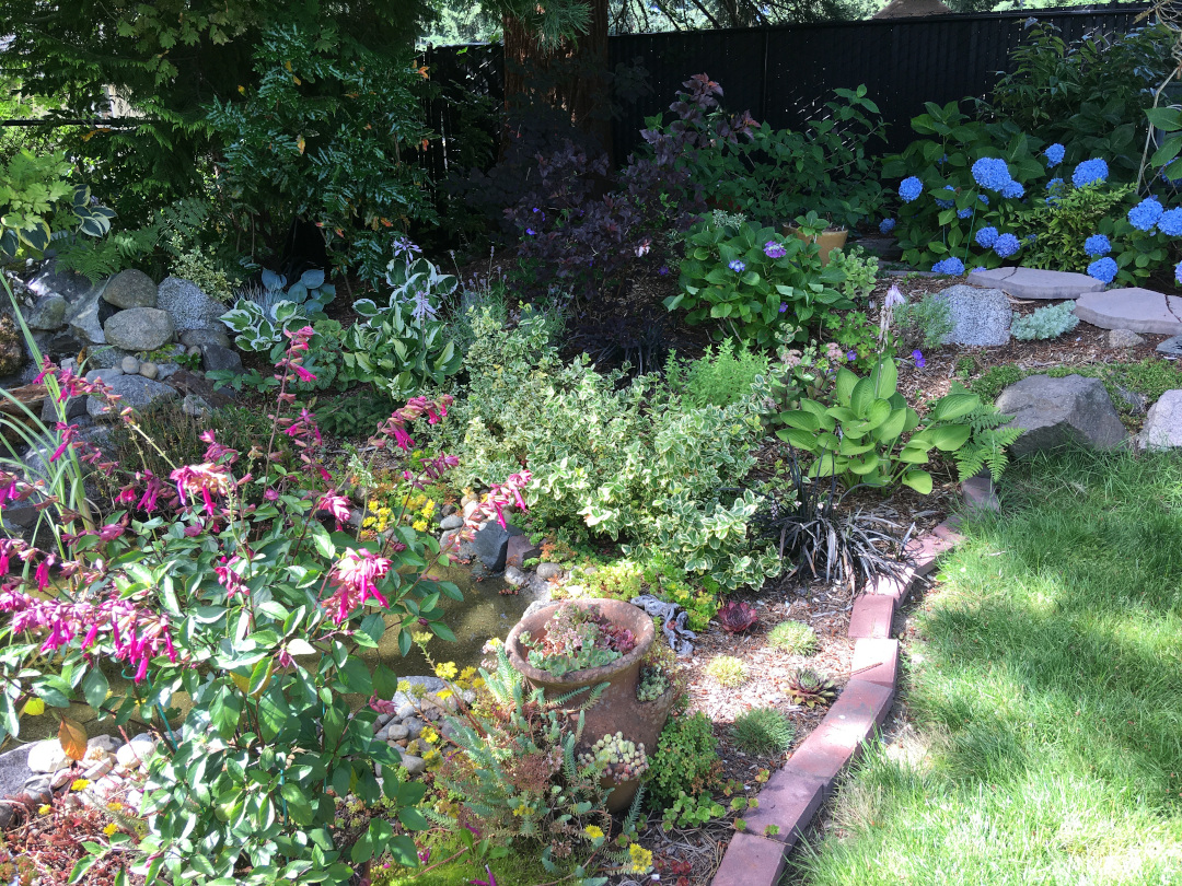 garden bed in the shade