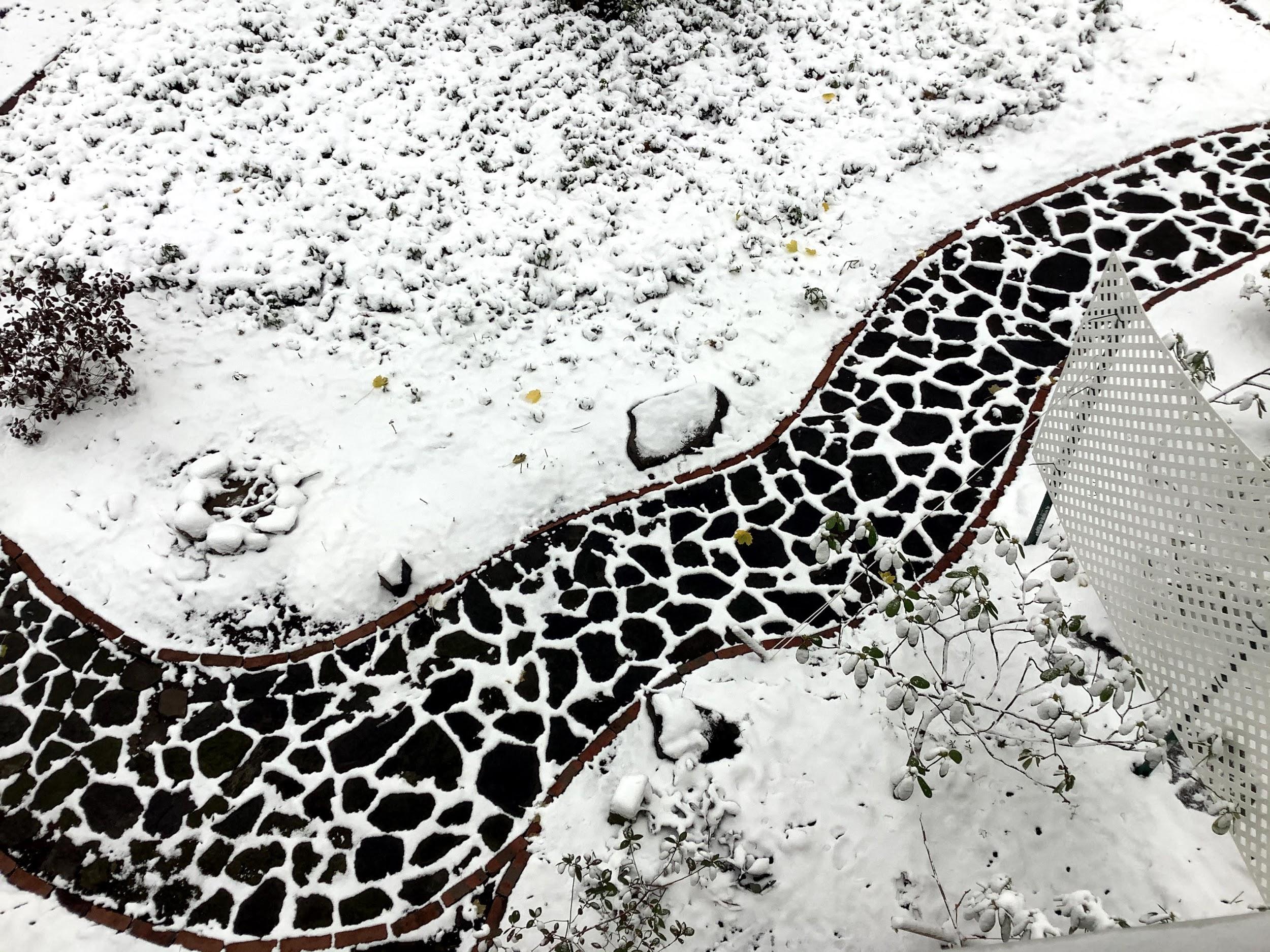 snow on garden path