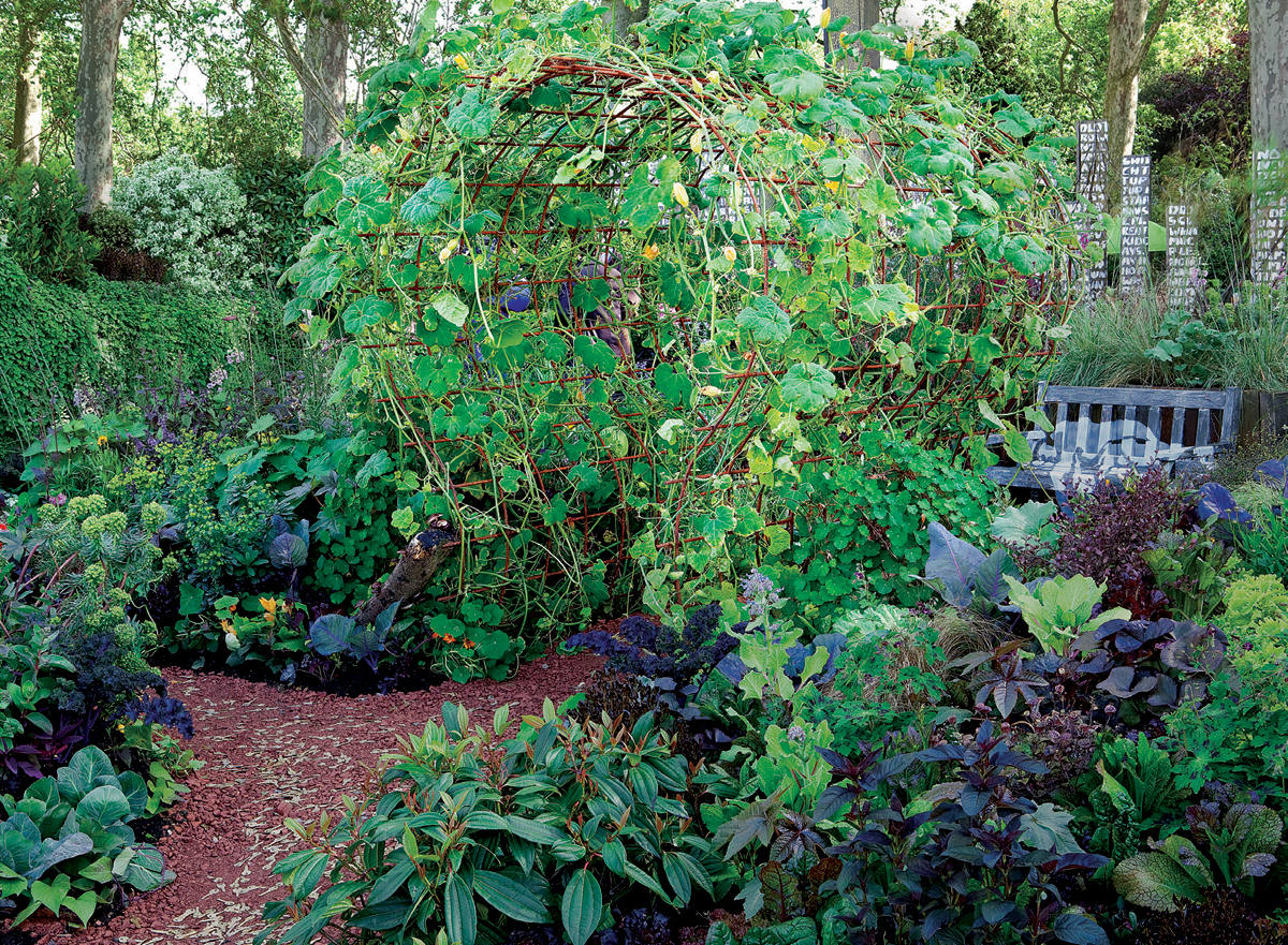 garden trellis made into an unusual shape