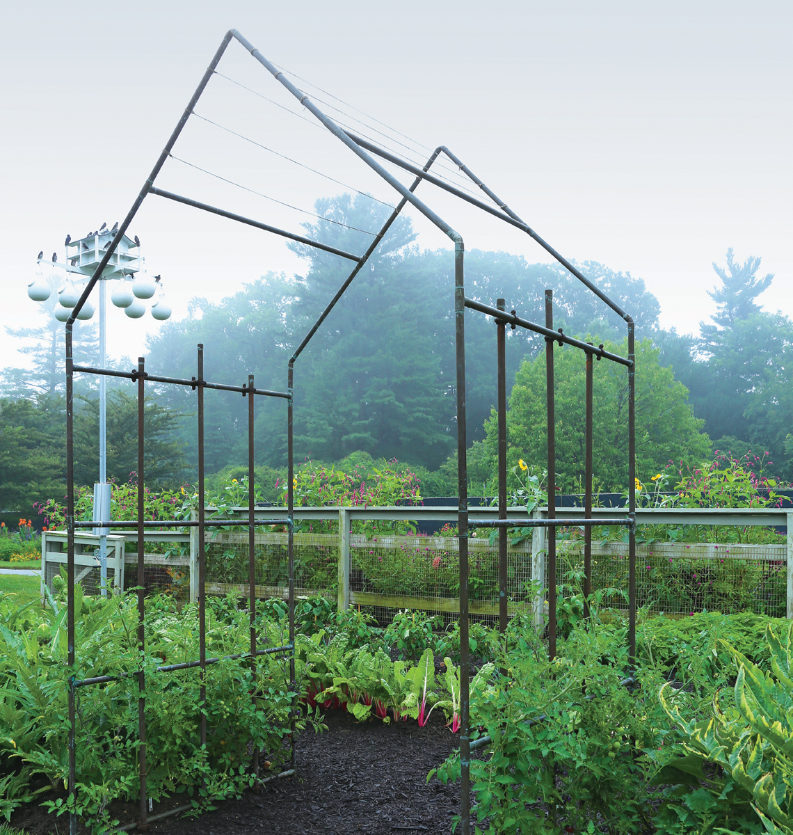 Garden trellis frame made from copper pipe