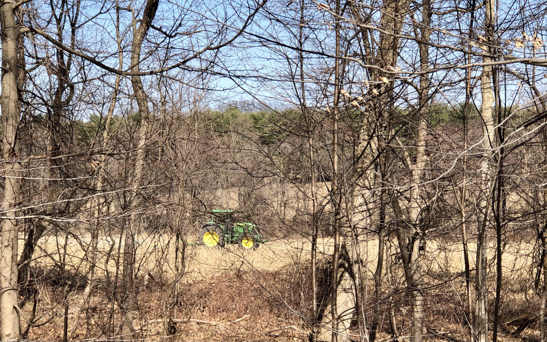 tractor seen between bare spring trees