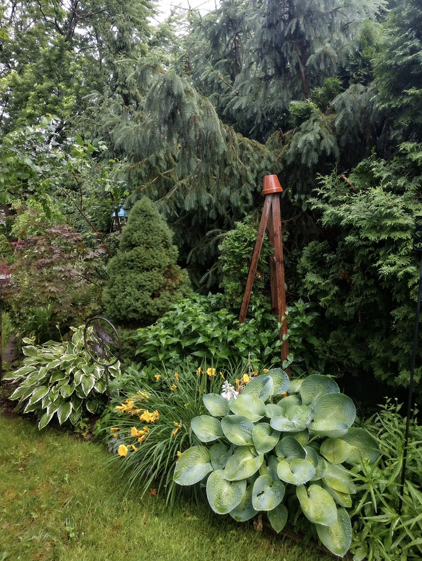 foliage garden with lots of texture