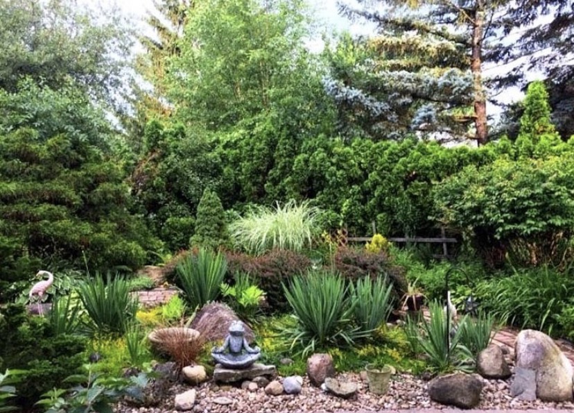 foliage and stone in a garden