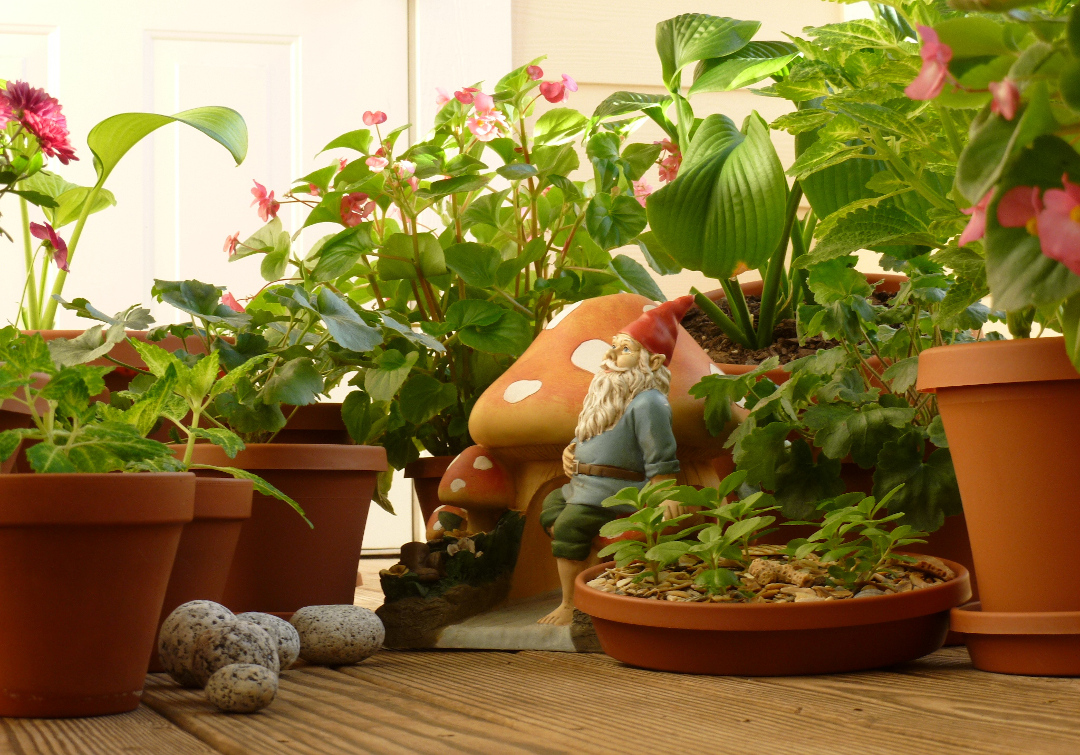 garden gnome surrounded by potted plants