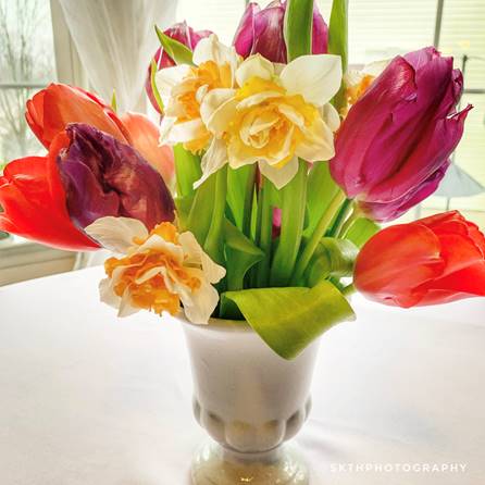 tulips and daffodils in a vase