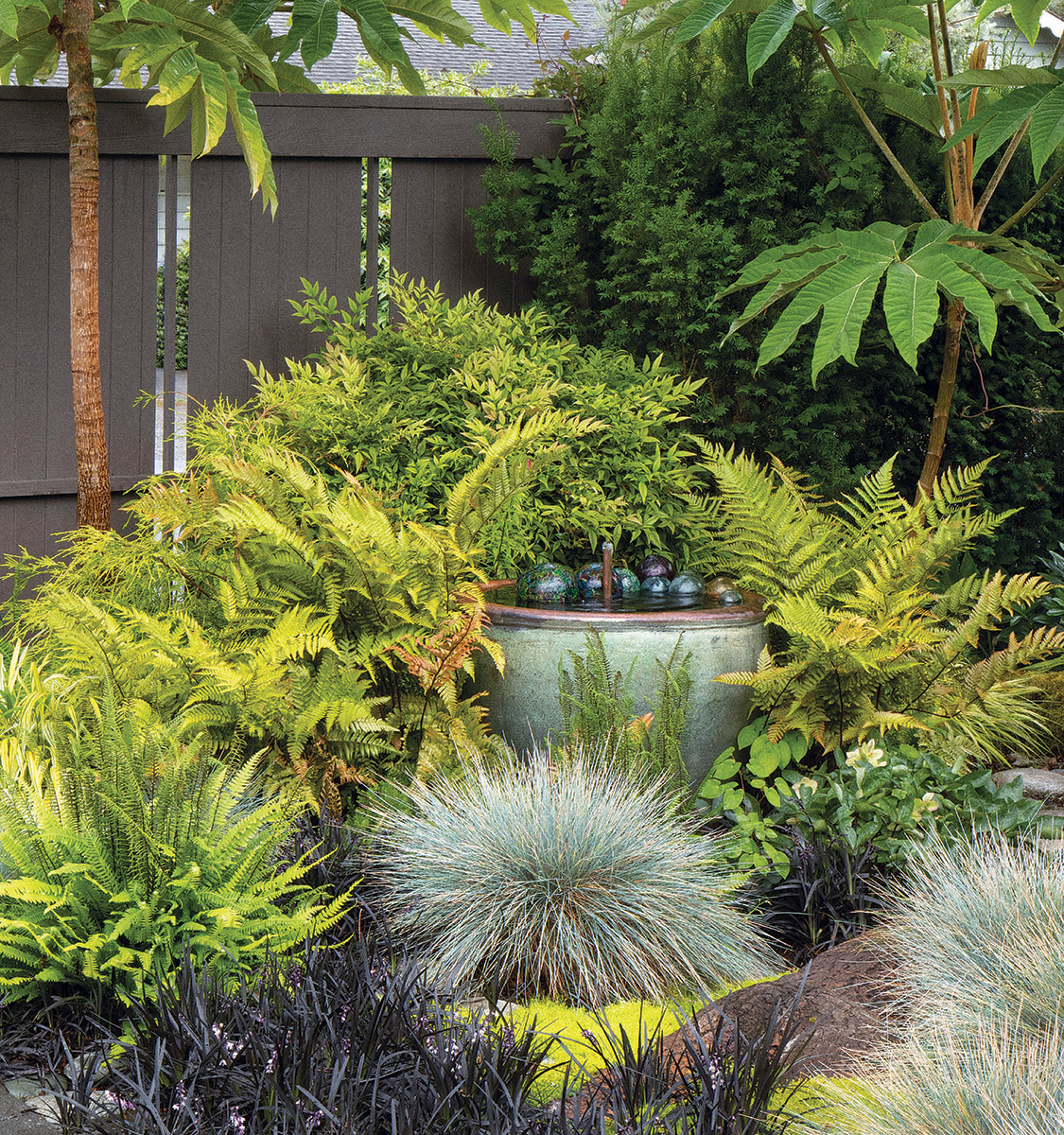 Chartreuse becomes the garden star when it leans more toward yellow or gold. These ‘Brilliance’ autumn ferns against the dark fence and draw your attention to the container water feature they surround. As the fronds pick up more reddish russet tones, their connection to the trunks of the fatsias becomes even stronger.