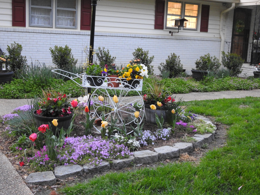 front yard garden bed