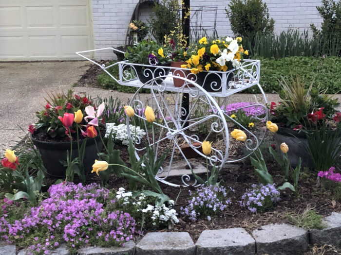 garden cart full of plants