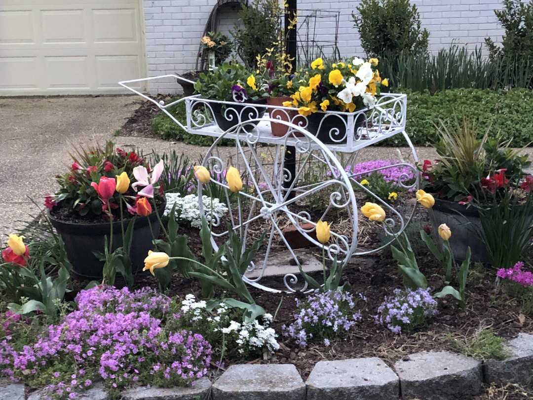 garden cart full of plants