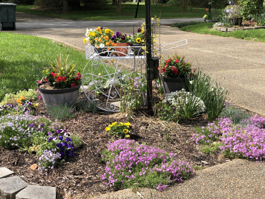 spring flowers by a driveway