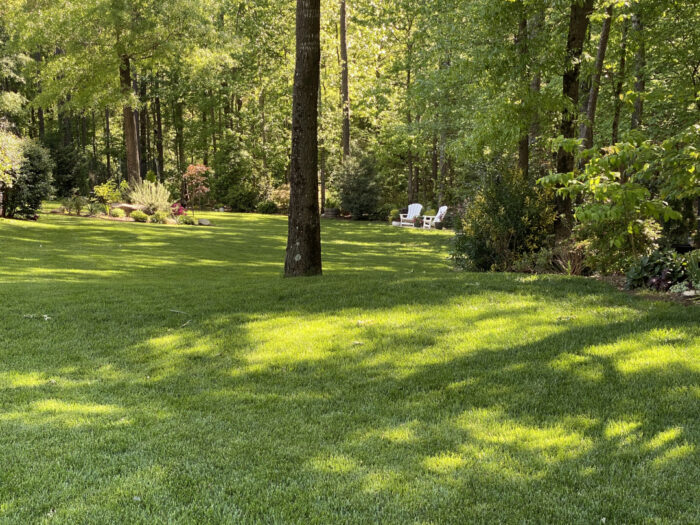 large mowed lawn with garden chairs in the back corner