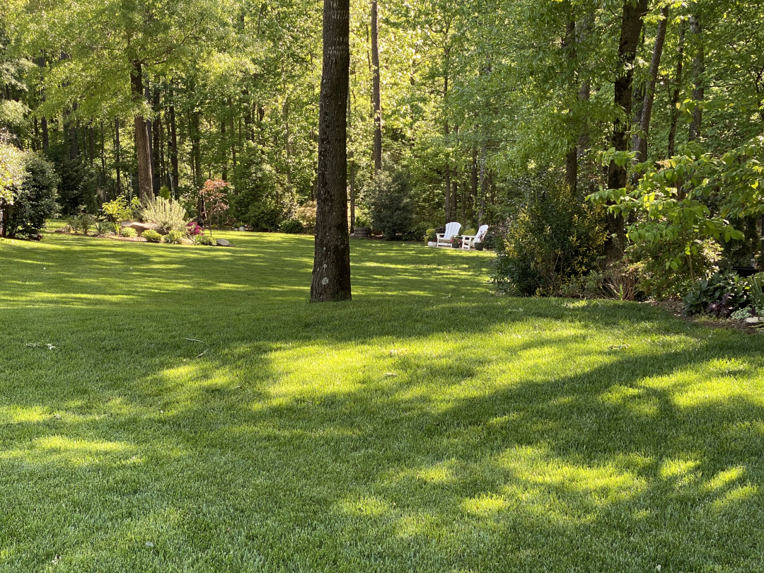 large mowed lawn with garden chairs in the back corner