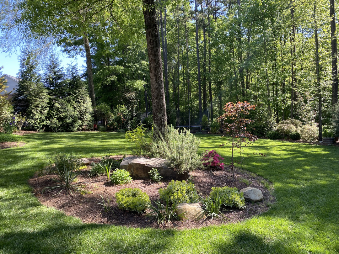 garden bed surrounded by lawn and tall trees