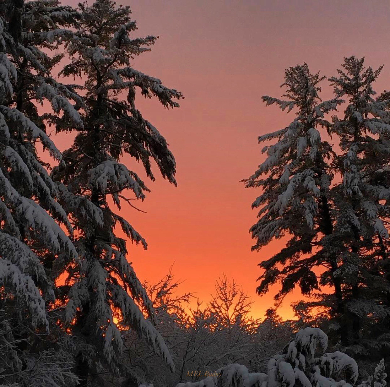 sunset in winter