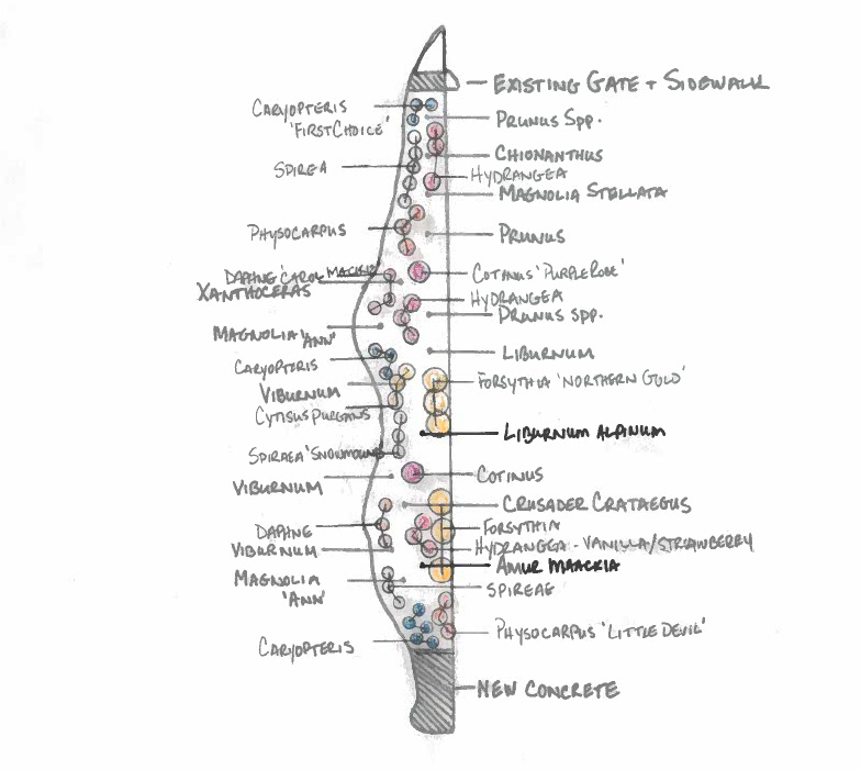 garden site plan sketch