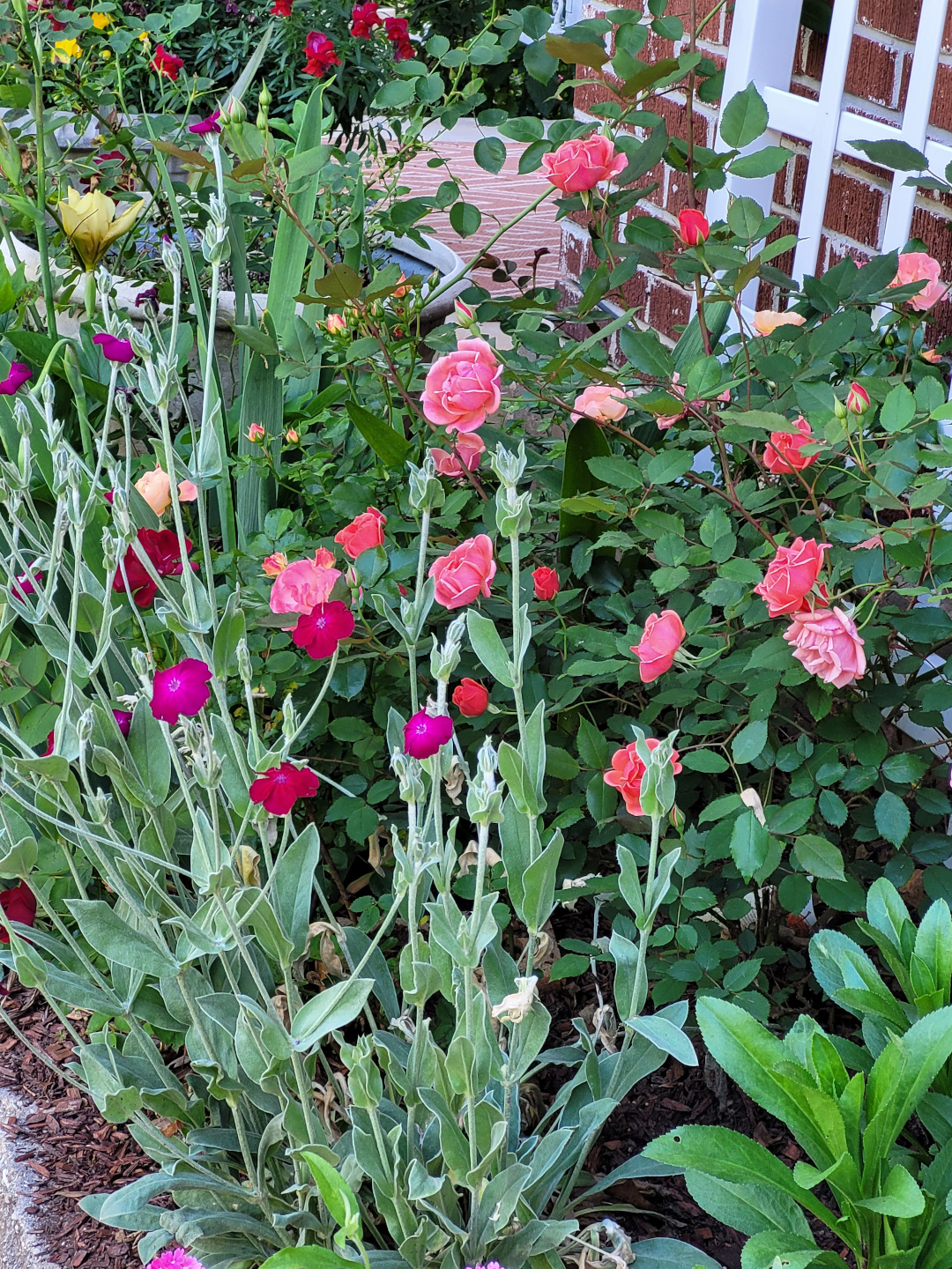 Flowery garden in front of a brick wall