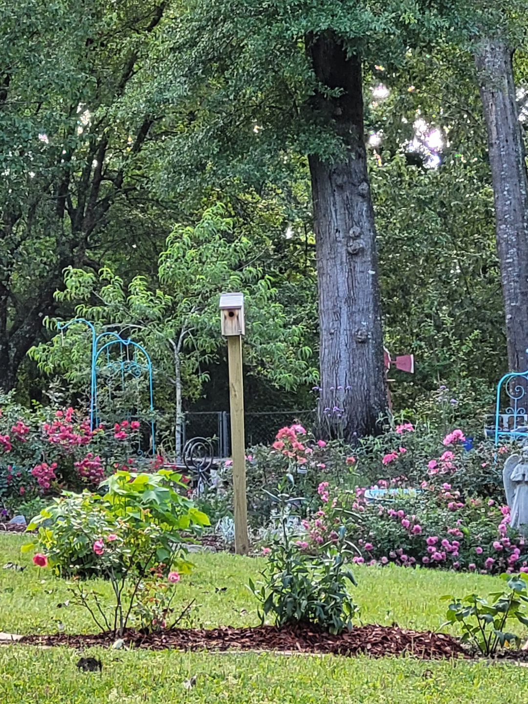 Flower garden with large trees behind it