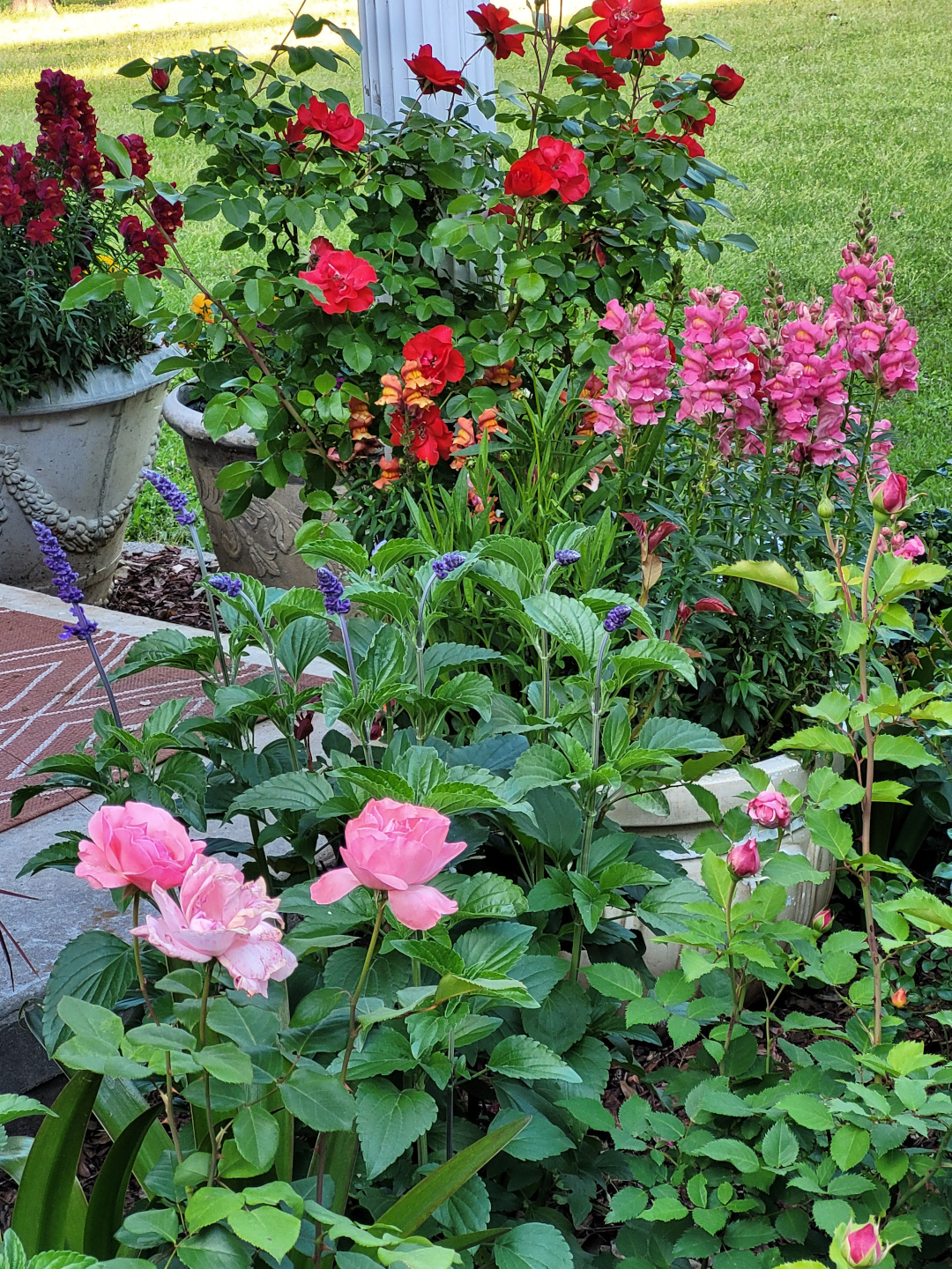 Roses and snapdragons blooming beside a porch