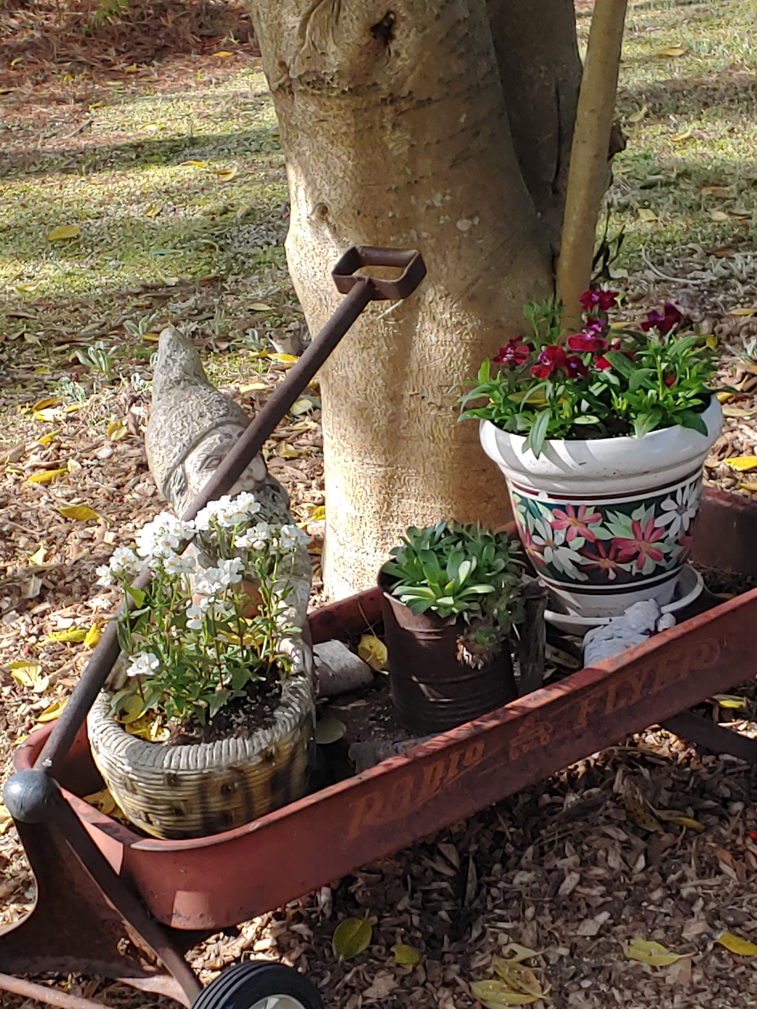 A childs wagon with three pots of flowers in it.