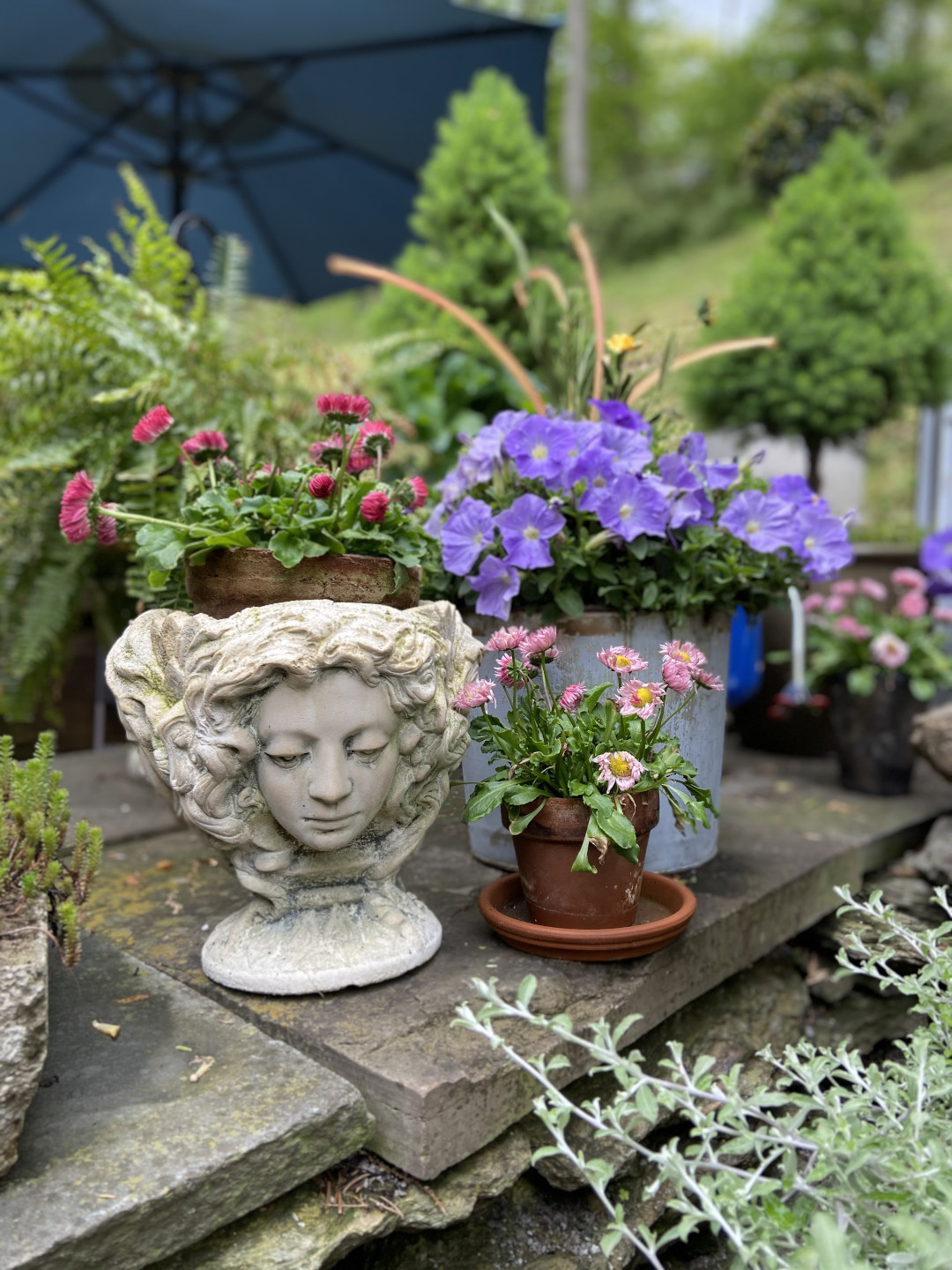 Assorted pots filled with flowers